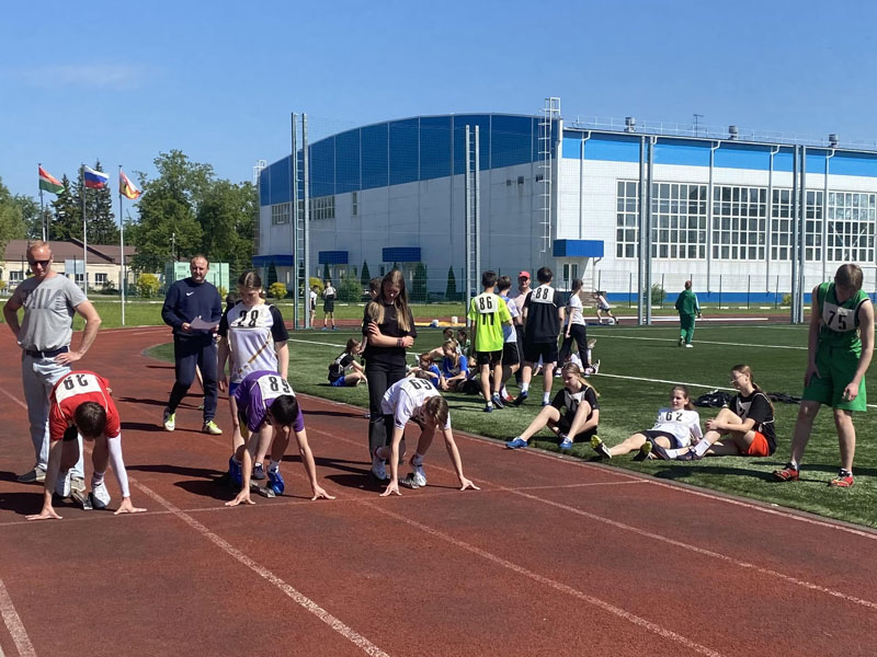 Школьный этап Всероссийских соревнований школьников.